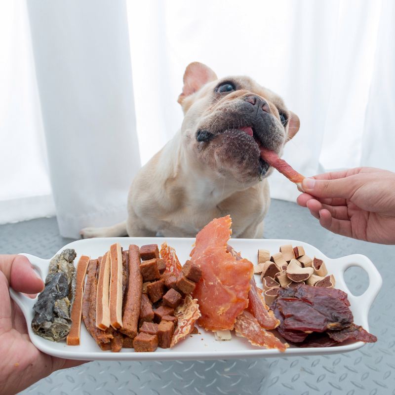 Dog Problem Puppy Soiling CrateLUCKUP